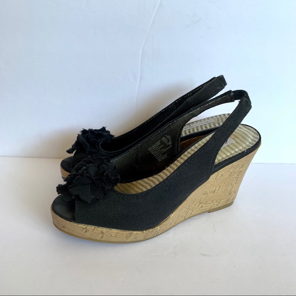 American Eagle Wedges